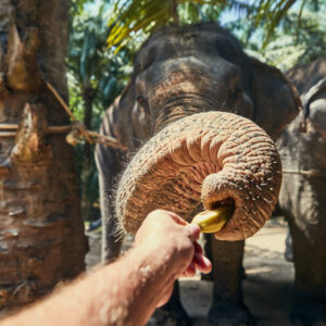 PAKET BALI TOUR 7D6N